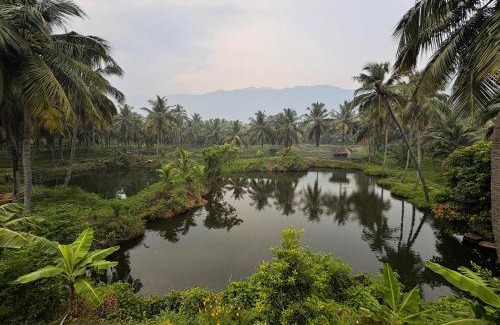 Chittur Maison | Evergreen Homestay