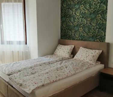 Debrecen Appartement | Evergreen Residence Forest Debrecen