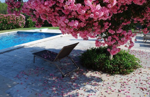 Lorgues Appartement | Tout ce que vous voulez pour un séjour de détente dans de beaux jardins au milieu des vignes