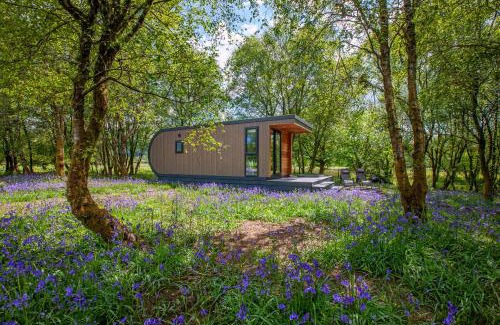 Benderloch Appartement | Ewe pod, luxury glamping pod with hot tub, Croft4glamping
