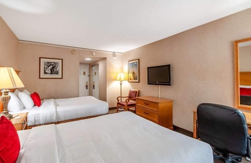 Radnor - Fort Myer Heights Station Balnéaire | Excellent Choice! 4 Units with Free Parking, Pet-friendly Property!
