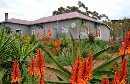 Bergrivier Maison | Excelsior Country House