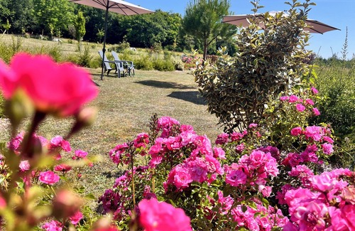 Cellettes Maison | Exceptional B&B combining nature, history and conviviality