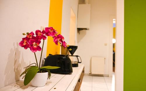 Margareten Appartement | Exclusive Apartment Schönbrunn