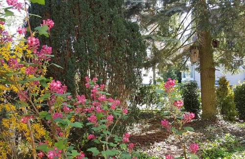 Stahnsdorf Maison | Complète maison unifamiliale avec jardin entre Berlin et Potsdam.