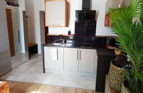 Katowice Appartement | Exclusive flat in the center