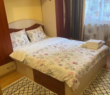 Baia Mare Appartement | Exclusive HORTENSIEI