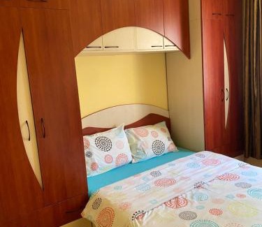 Baia Mare Appartement | Exclusive HORTENSIEI