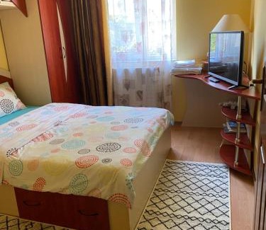 Baia Mare Appartement | Exclusive HORTENSIEI