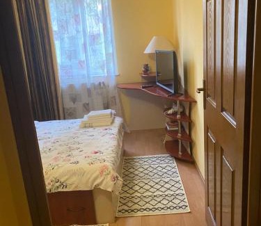 Baia Mare Appartement | Exclusive HORTENSIEI