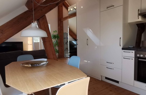Klettgau Appartement | Exclusive penthouse - on the border to Switzerland. 30 min. Zurich or Rhine Falls
