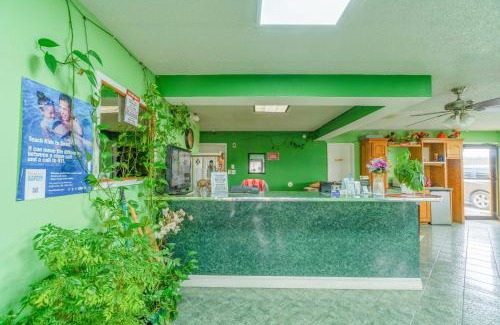 Mineral Wells Hôtel | Executive Inn By OYO Mineral Wells US-180