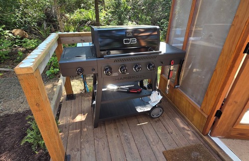 Copalis Beach Cabine | Experience Coastal Bliss in a Stunning Glass House Glamping Retreat