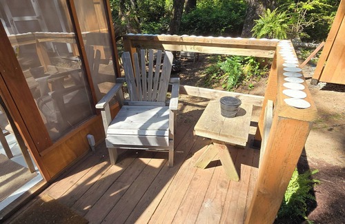 Copalis Beach Cabine | Experience Coastal Bliss in a Stunning Glass House Glamping Retreat