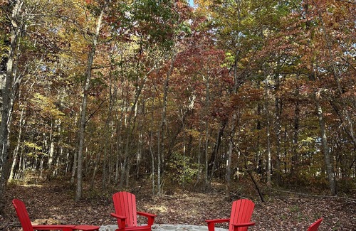 Spencer Cabine | Experience the peaceful Wooded Retreat Cabin - 300 private acres -security gate