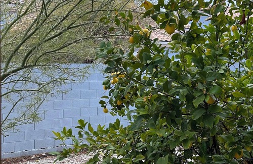 Canyon Gate Maison | Experience Vegas like a local! Cozy 2-bedroom townhome 25 mins from LV Strip
