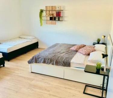 Rheinfelden Appartement | Explore CH & FR - deluxe apartment Basel Airport