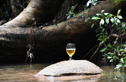 Wilgamuwa Hôtel | Explorer by Eco Team - Wasgamuwa National Park