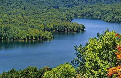 Shenandoah Appartement | Extended Stay ✫ Geisinger ✫ Danville ✫ St Lukes