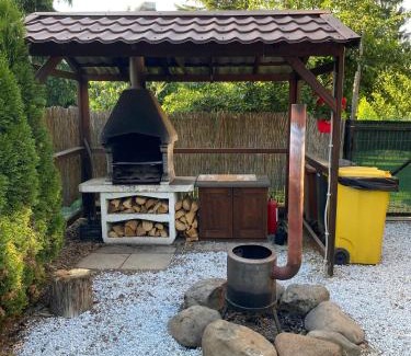 Joseni Villa | Ezüst fenyő vendégház