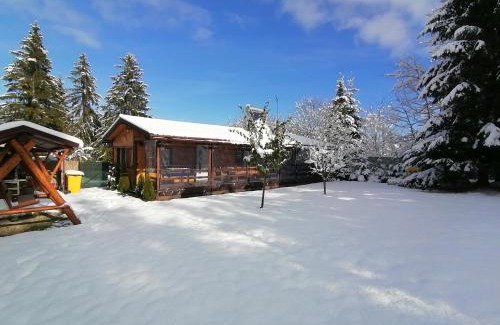 Joseni Villa | Ezüst fenyő vendégház