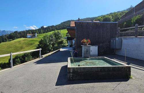 Cazis Appartement | Försterhaus Dalin Ferienwohnung Schweizer Alpen