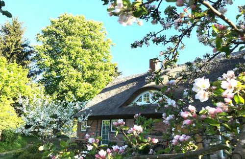 Garz/Rugen Appartement | F-1081 Ferienwohnung Pfarrhof in Garz
