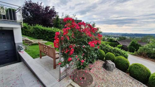 Hoerbranz Appartement | F E R I E N W O H N U N G "Am Halbenstein"