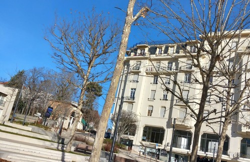 Chatel-Guyon Appartement | F1 FACE AU PARC THERMAL animaux de compagnie acceptes!