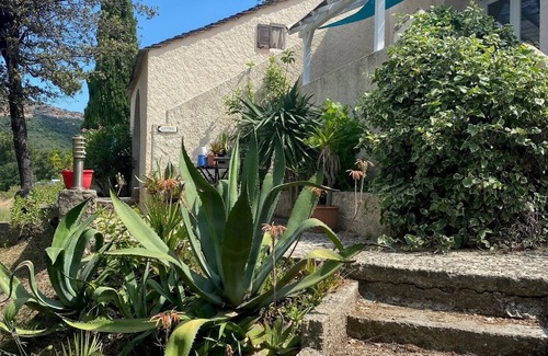 Patrimonio Appartement | F1 with pool