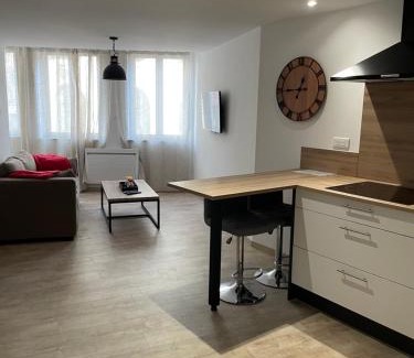 Luxeuil-les-Bains Appartement | F2 Centre Historique Saint Colomban