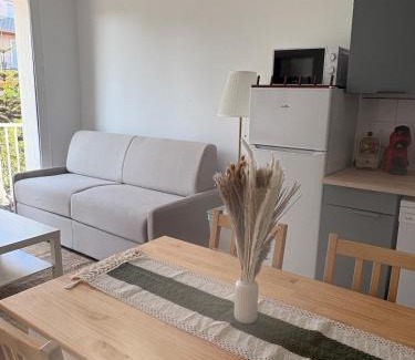 Plage d'Argeles Appartement | F2 - Vue mer - Plage centre