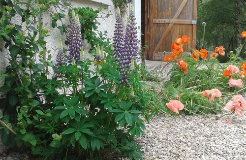 Braemar Maison | Hébergement fabuleux dans les Highlands