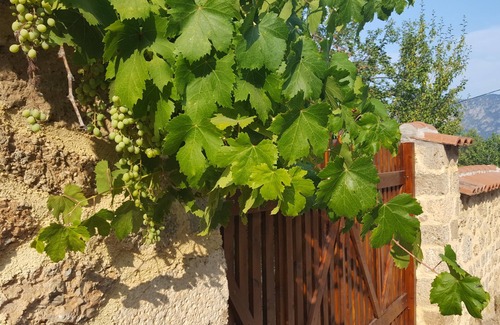 Egira Villa | Séjour fabuleux dans la rustique Villa Platanus (est. 1840)