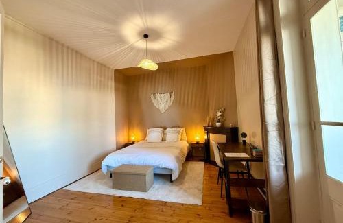 Roanne Appartement | Face gare - Appart Haussmannien