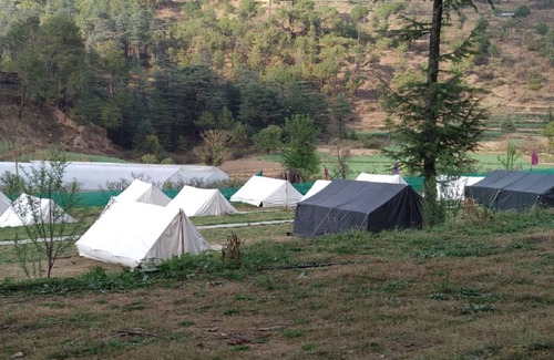 Rajgarh Maison | Fagu Resort and Adventure Camp