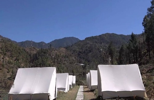 Rajgarh Maison | Fagu Resort and Adventure Camp