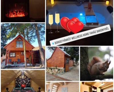 Bakonybel Appartement | Faház a fenyők alatt - Borostyánkút Wellness Home II Bakonybél
