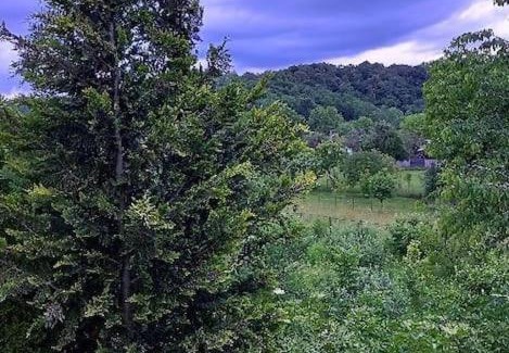 Branesti Villa | Fairy's Corner