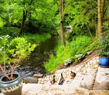Brezova-Olesko Maison | fairy tale cottage on water stream, 30 minutes from South Prague