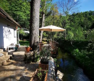 Brezova-Olesko Maison | fairy tale cottage on water stream, 30 minutes from South Prague
