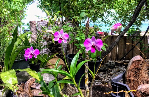 Fakarava Appartement | FAKARAVA SUD – Beach Blessing Bungalow 5