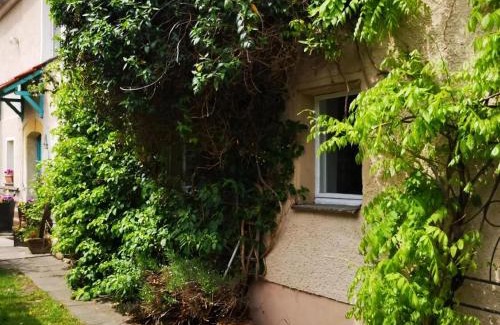 Glashuette Appartement | Familienfreundliche Gemütliche Ferienwohnung In Luchau Mit Garten Und Grill -