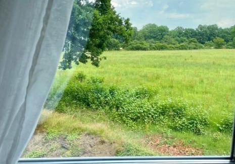 Bergstedt Appartement | Familienfreundlichen Apartment mit traumhaft grüner Aussicht