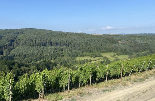 Waldrach Appartement | Family break in the beautiful Ruwertal near Trier, Luxembourg