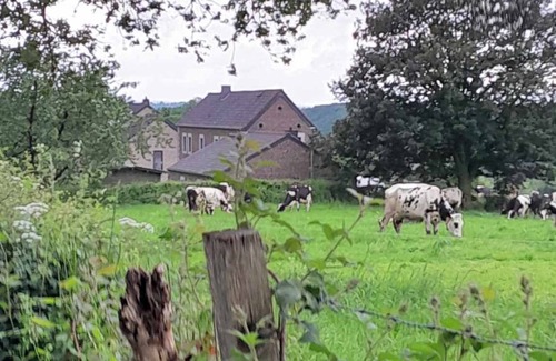 Pepinster Maison | Maison de campagne familiale dans un des plus beaux villages de Wallonie