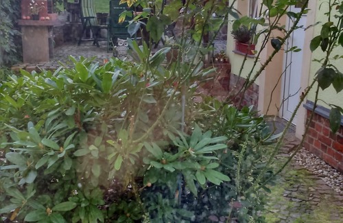 Doebeln Appartement | Logement familial