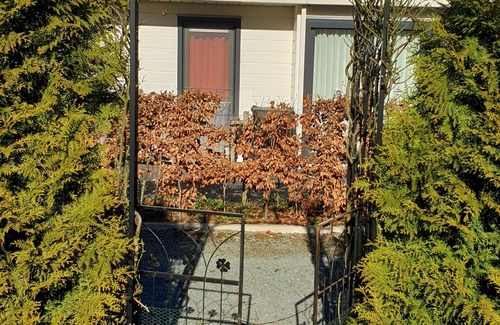 Wolfheze Chalet De Ski | Chalet familial et convivial à Veluwe, Gueldre, Wolfheze