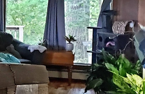 Waupaca Maison | Family Friendly on the Crystal River