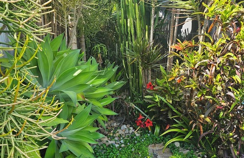 North Creek Maison | Family friendly retreat 5 minutes stroll to the beach!